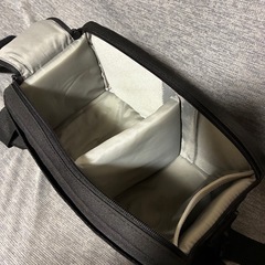 ソニー　SONY α 純正カメラバッグの画像