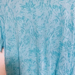 TEK GEAR ターコイズ 2X Tシャツの画像