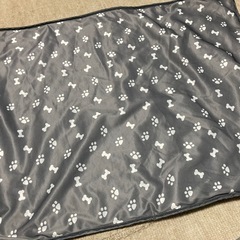 ☆ペットキャリーバッグ・ジャブラ・首輪☆値下げしました！の画像