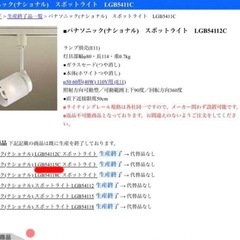 【廃盤】スポットライト　ナショナル電気　松下電工株式会社　LGB54115の画像