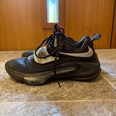 Nike zoom freak 3 バスケシューズの画像