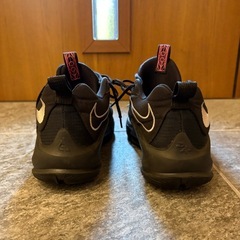 Nike zoom freak 3 バスケシューズの画像