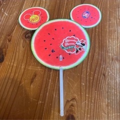 ディズニー　うちわとチケットホルダーの画像