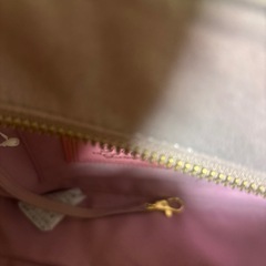 サマンサベガ　ピンクバッグの画像