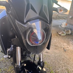 fortune125ccの画像