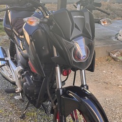 fortune125ccの画像