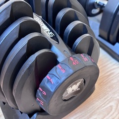 可変式ダンベル40kg2個の画像