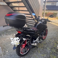 fortune125ccの画像