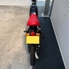 CD50 カスタムの画像