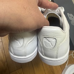 PUMA マッチ 74 タンブル23.5cm
の画像