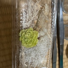 ハーバリウムの材料セットの画像