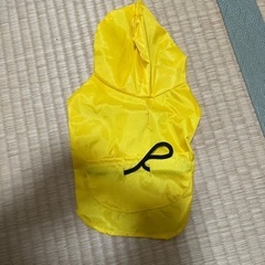 チワワの服の画像