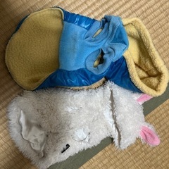 チワワの服の画像