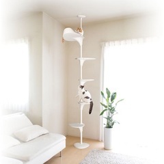 【美品】OPPO キャットタワー ホワイトの画像