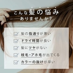 【中古美品】SALONIA トリートメントミストドライヤー SAL21102WHの画像