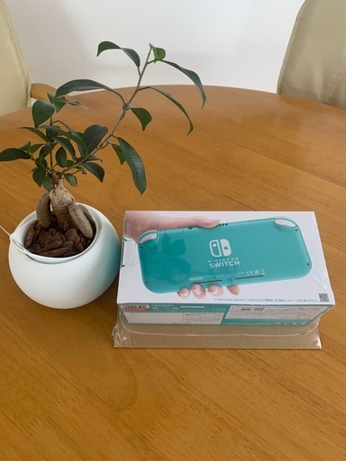 中国 玉石彫刻 神獣刻 パイプ 煙管 喫煙具 V R5837 注文