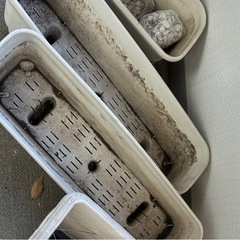 【無料/杉並区】プランター まとめてお譲りします（土入り・現状渡し）の画像