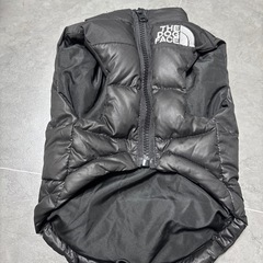 犬の服3点の画像