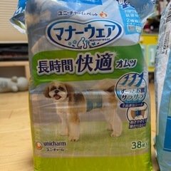 【ニオイポイ・エリザベスカラーつき】わんちゃん用   おむつ 犬用 男の子 マナーウェア 介護 エリザベスカラー ニオイポイの画像