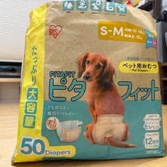 【ニオイポイ・エリザベスカラーつき】わんちゃん用   おむつ 犬用 男の子 マナーウェア 介護 エリザベスカラー ニオイポイの画像