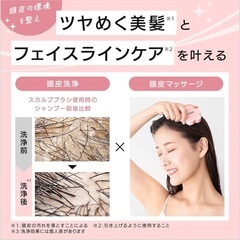 【新品】リノン スカルプクレンズブラシ 頭皮洗浄 リフトケア ベージュ 頭皮ブラシ ケア 血行促進 美容グッズ ヘッドマッサージの画像