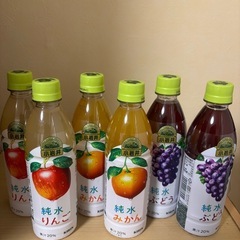 ラーメン各種　ジュースの画像