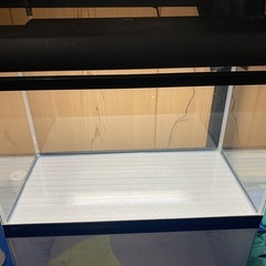 GEX　60cm水槽用　ライト（蛍光灯2灯）の画像