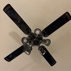 シーリングファン シーリングライト の画像