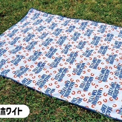 新品未使用 レジャーシート【1/4まで3000円】の画像