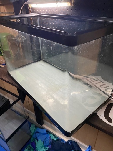 60cm 前面曲げガラス水槽（フレーム付き）NISSO (MOVE) 八千代のその他