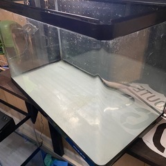 60cm 前面曲げガラス水槽（フレーム付き）NISSOの画像