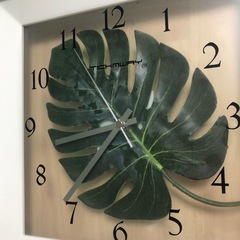 モンステラ　掛け時計の画像