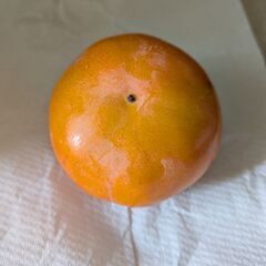 ②柿　富有柿　大阪産　無農薬　美味しい柿の画像