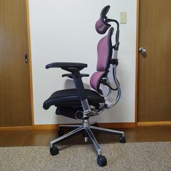 【極美品】Ergohuman Basic エルゴヒューマン ベーシック エラストメリックメッシュ 座面モールドクッション オフィスチェア ゲーミングチェア デスクチェア プロ Proの画像