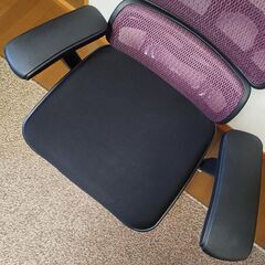 【極美品】Ergohuman Basic エルゴヒューマン ベーシック エラストメリックメッシュ 座面モールドクッション オフィスチェア ゲーミングチェア デスクチェア プロ Proの画像