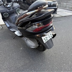 スカイウェブ250の画像