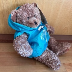 ぬいぐるみ テディベア くま 熊　カナダ　ナイアガラの滝の画像