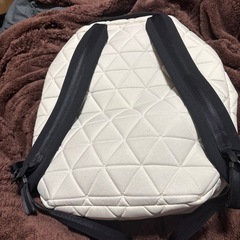 ノースフェイスリュックの画像