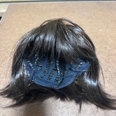 ウィッグ 白髪隠し かつら　ボブ　女性　コスプレの画像