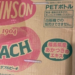 《２ケース48本》5,364円アサヒ飲料 ウィルキンソン タンサン炭酸 ダブルピーチ 500mlペットボトル×24本入の画像