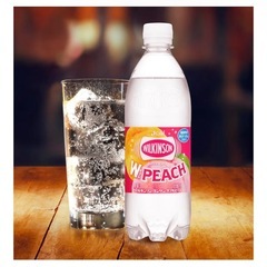 《２ケース48本》5,364円アサヒ飲料 ウィルキンソン タンサン炭酸 ダブルピーチ 500mlペットボトル×24本入の画像