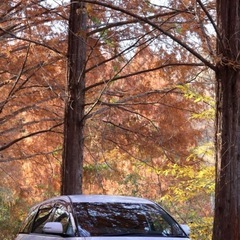 トヨタ エスティマ 50中期の画像