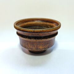 【陶器鉢】塊根植物 / 多肉植物 / 盆栽・直径10cmの画像