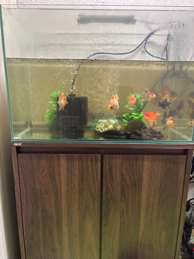 お取引決定しました。GEXオールガラス水槽水槽台 (かずひろ) 松崎の