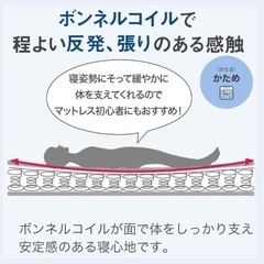 ニトリ　シングル　マットレスの画像