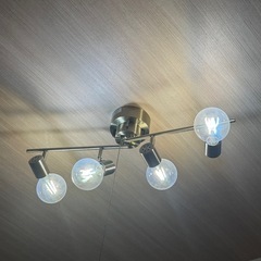 シーリングライトの画像