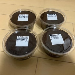 【幼虫】アングスティコルニスミヤマクワガタ　幼虫4頭の画像