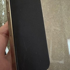 iPhone  16 Pro MAXの画像