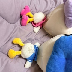 ディズニーランド　デイジー　ドナルド　帽子の画像