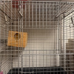 イージーホーム60(デグー多頭飼育)、チンチラ、オウム、大きい小動物におすすめ！の画像